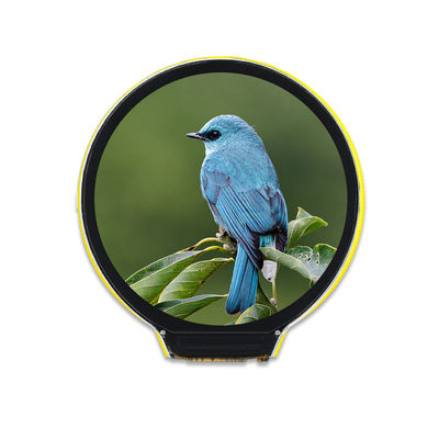 Καλή τιμή. 1,28 ενότητα LVGL οθόνης ψηφίσματος TFT LCD ίντσας 240x240 χωρίς αφή σε απευθείας σύνδεση