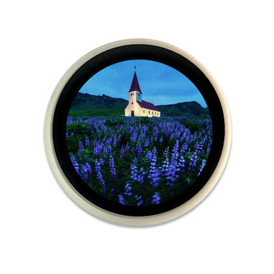 Καλή τιμή. χωρητική αφή επίδειξης κοχυλιών ΚΠΜ (Κοινή Πολιτική Μεταφορών) LCD 1,28-ίντσας ESP32 άσπρη tft σε απευθείας σύνδεση